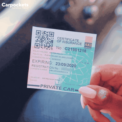 Range Rover Carpocket
