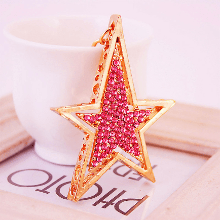 Star Shaped Metal Key Holder at Carpockets